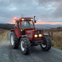 alexhall485