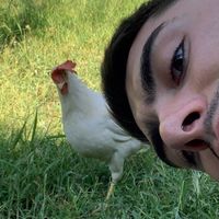 paolorollo0
