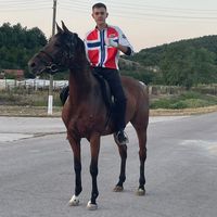 davidovo_atlari
