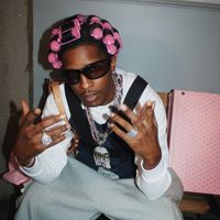 djibzoo_21