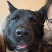 original sound - mi.444444