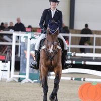 saskia.merwitz