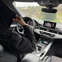 wolfie5quattro