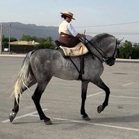 tamaraortega08