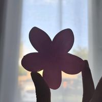 nelsia_ici