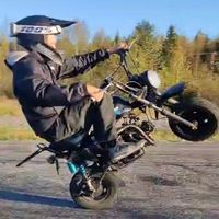 kepaappi_anton