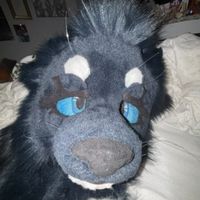 yellowthefurry
