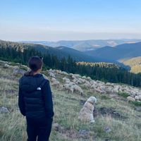 mirela.cindea