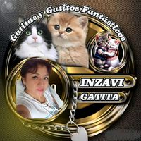 inzavi80