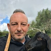 petersampei