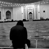 mussa_4499
