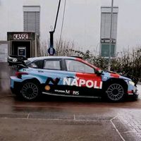 pioloraces