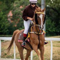 eredeti hang