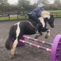 equestrianlxfe7