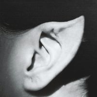 lapiligrossa