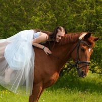 soulhorse_justin