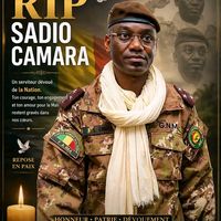 b2zo_officiel_223_n1