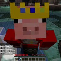 misfitvi