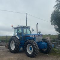 jodymcgrath8210