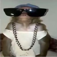 monkeyjr15