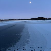 alkuperäinen ääni