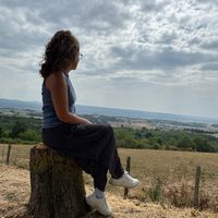 dersima426