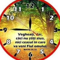 moldovanalexandru5