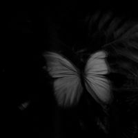 whispermind..0