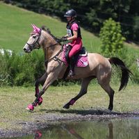 mytwobuckskins