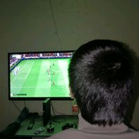 sapyyew2