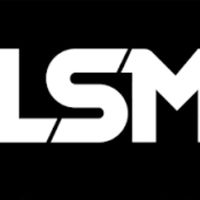 lsm.lsm.gmail.com