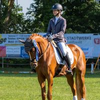 ponyy_equestrian