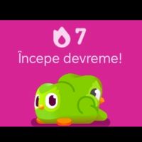 madyy._.nyet