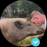 alex_ti_babe_le_sanglier