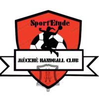 handballeur01
