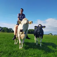 original sound - jaapmertens