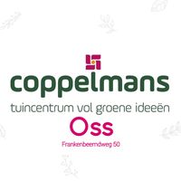 origineel geluid