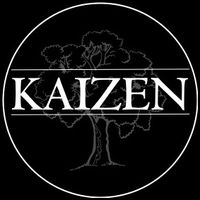 dailykaizenjournal