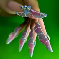 nadjamatos_naildesigner