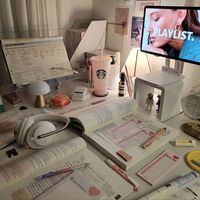 studyxshe