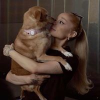 angelariana.luvs