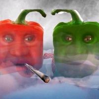 bffonitas