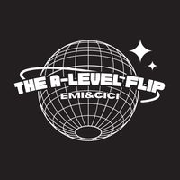 thealevelflip
