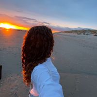 lisa.pmc