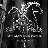 melmanfriesepaarden