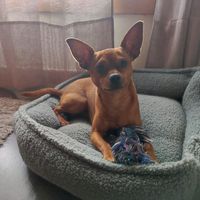 duggy1.5