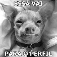 risadassemfimm