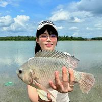 hamayfishing