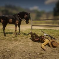 pauwkoekje.rdr2