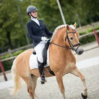 original sound - justanotherequeestrian